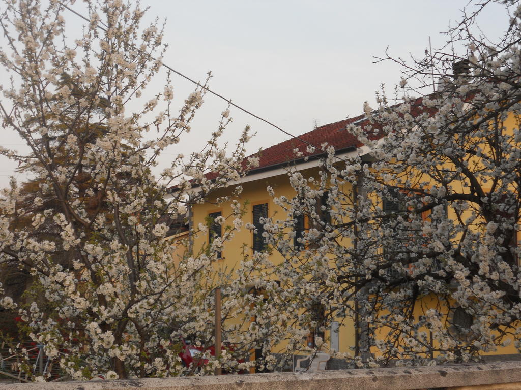 B&B Pervinca Rocca Grimalda Exterior foto