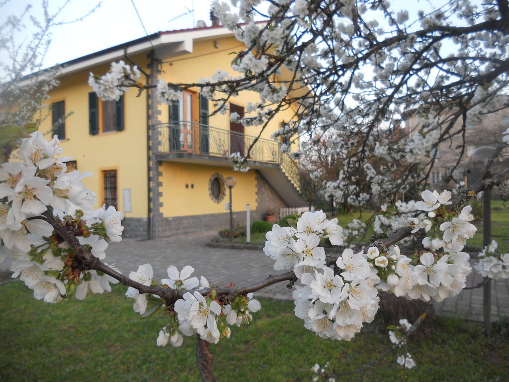 B&B Pervinca Rocca Grimalda Exterior foto